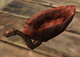 Wooden Bowl