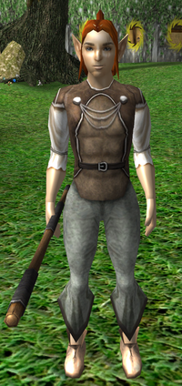 Jardet Forsill