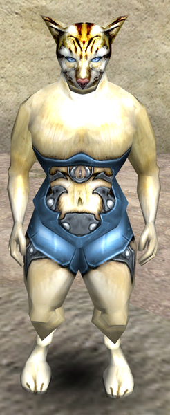 File:Portrait shenji.png